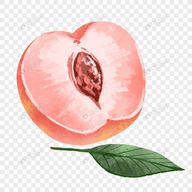 WWW,912av·COM网站APPAPP应用